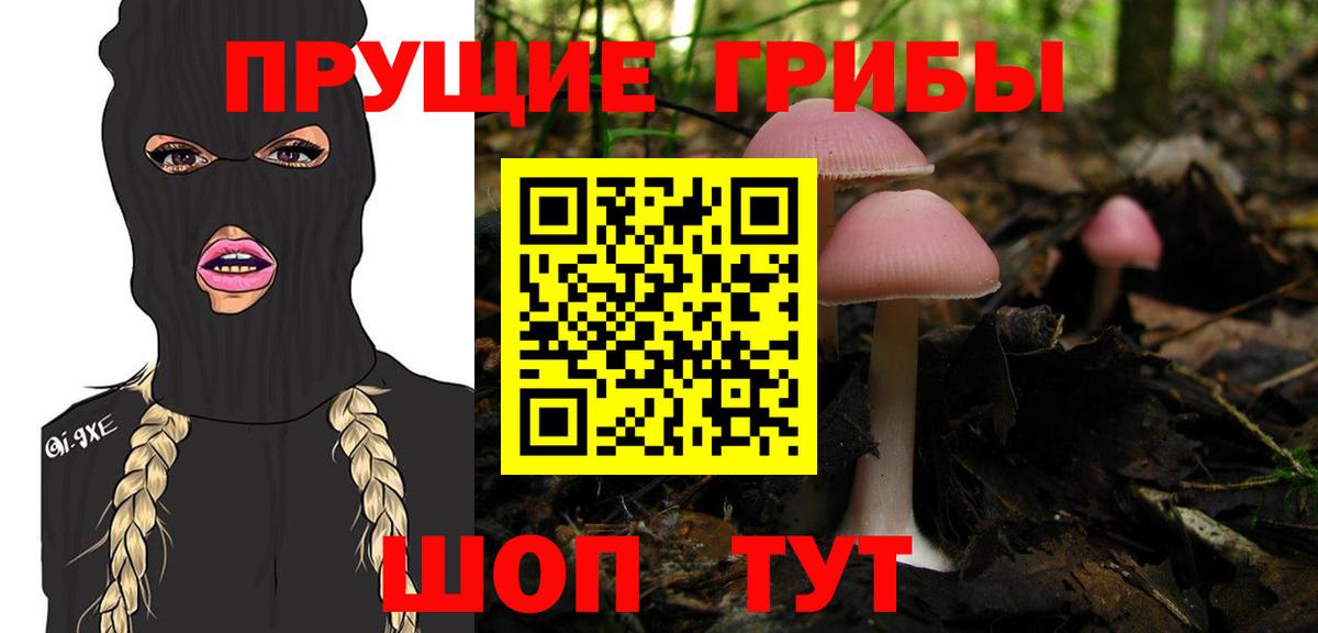 Петрозаводск  Псилоцибиновые грибы GOLDEN TEACHER  Галлюциногенные грибы мицелий  Вход с VPN 